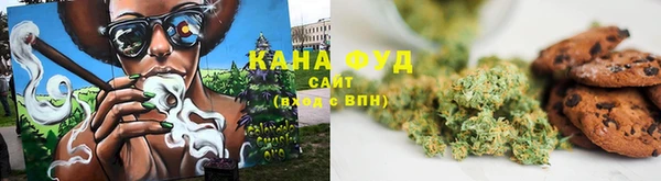 гидра Кодинск
