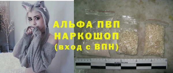 PSILOCYBIN Козельск