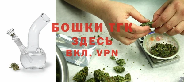 твердый Козловка