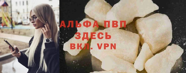 PSILOCYBIN Козельск