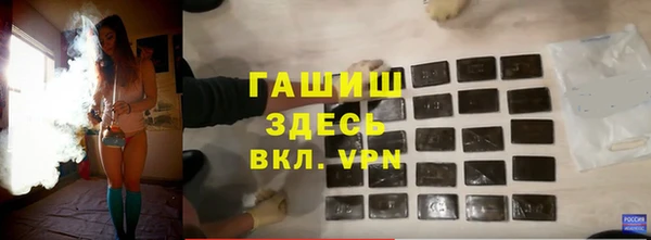 гидра Кодинск