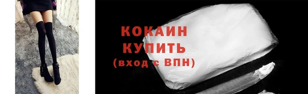 гидра Кодинск