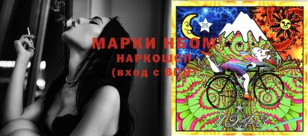 гидра Кодинск
