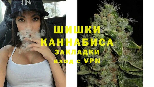 PSILOCYBIN Козельск