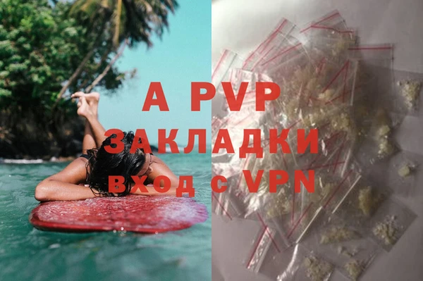 твердый Козловка