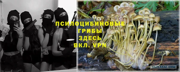 гидра Кодинск