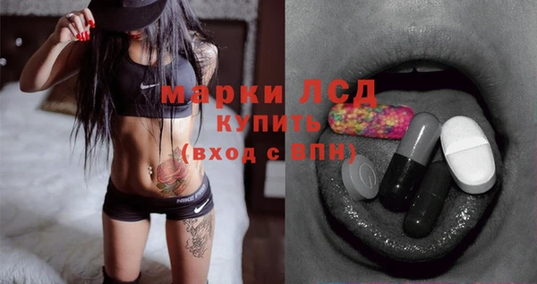 гидра Кодинск