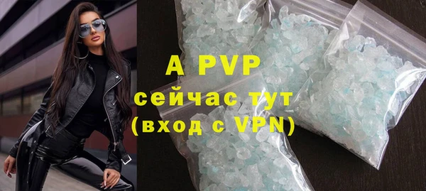 гидра Кодинск